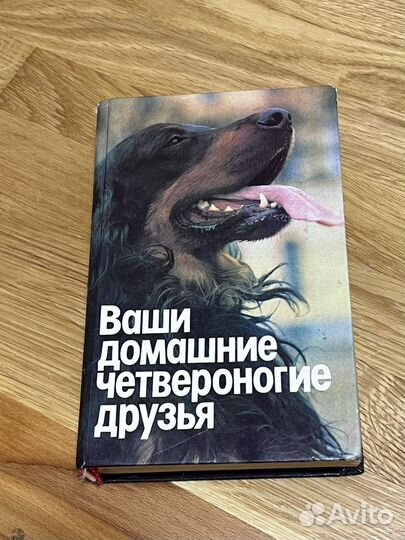 Ваши домашние четвероногие друзья