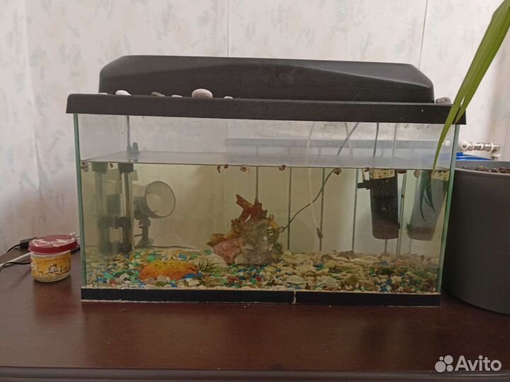 Аквариум 62 литра