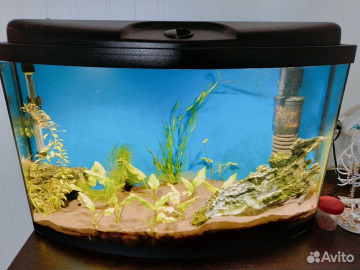 Аквариум