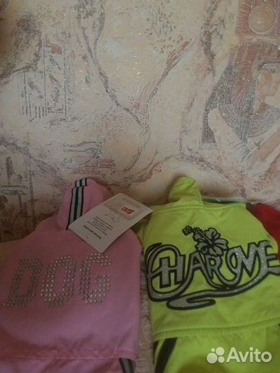 Одежда для собак