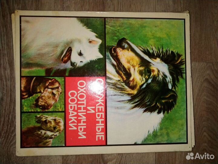 Спички СССР коллекция