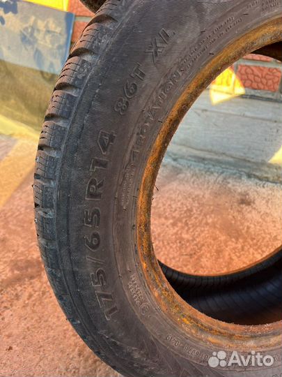 Nokian Tyres Nordman 7 175/65 R14 86T