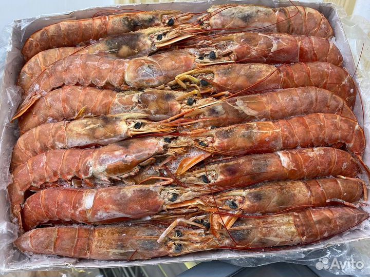 Лангустины L1 крупный. Охлажденные