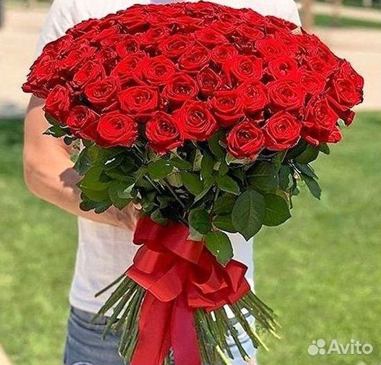 Высокие розы