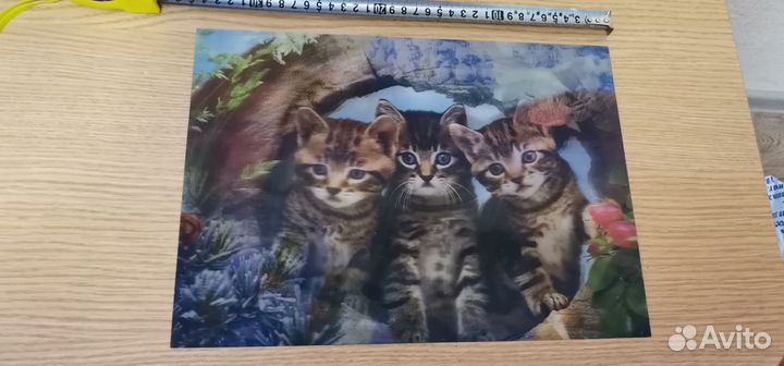 Картина Котята волки Стереокартина голографические