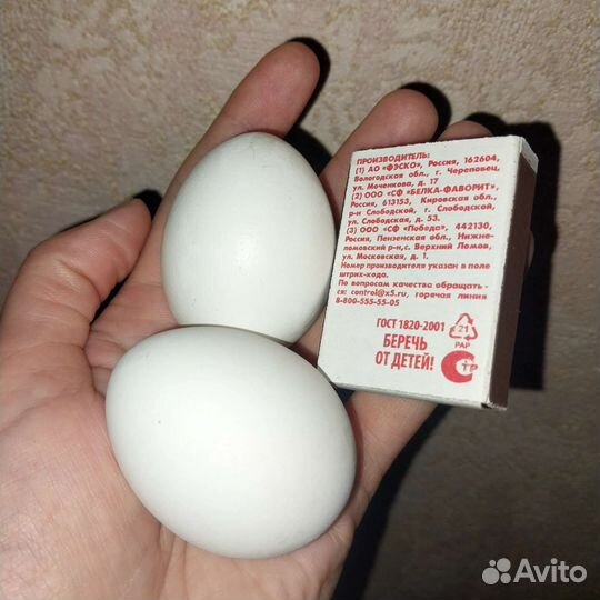 Домашние куриные яйца