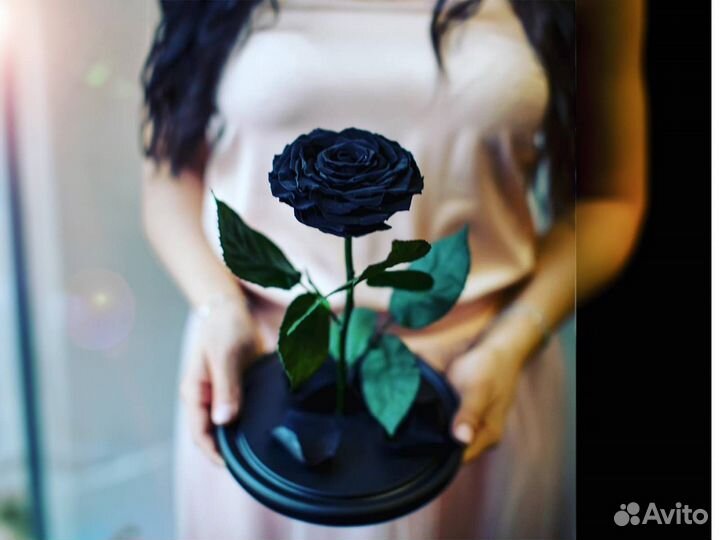 Роза в колбе Deluxe Черная