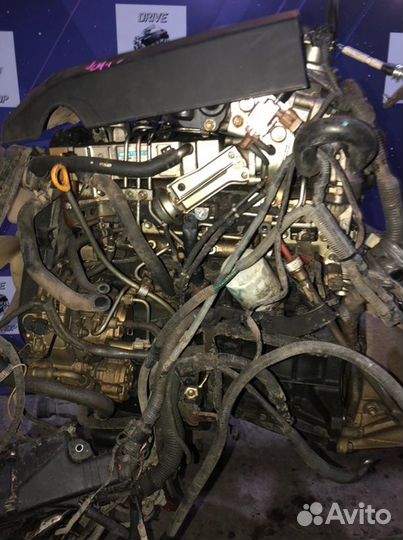 Двигатель Toyota Hilux KUN26 1KD