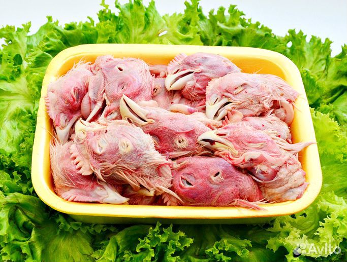 Головы куриные заморозка / фасовка