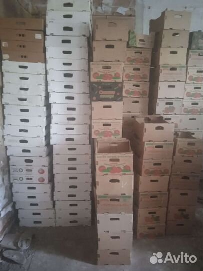 Ящик для овощей