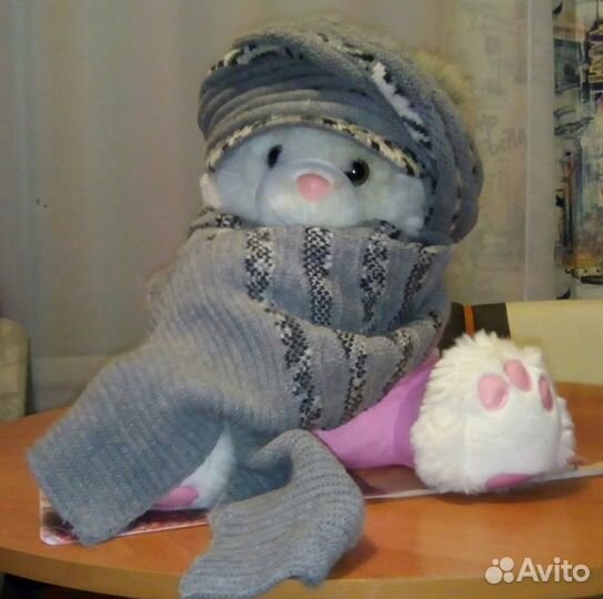 Шапка + шарф (шерсть)