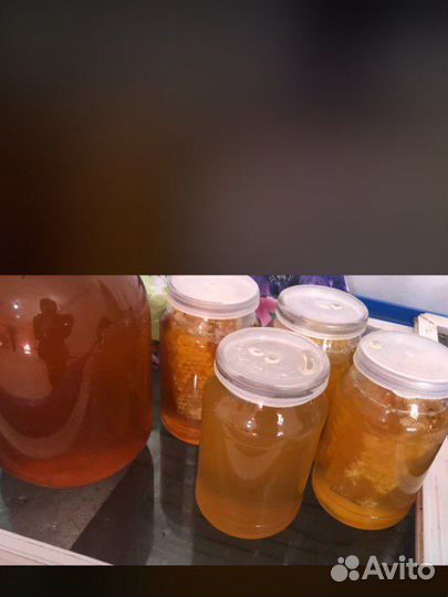 Пчёлы пчелопакеты