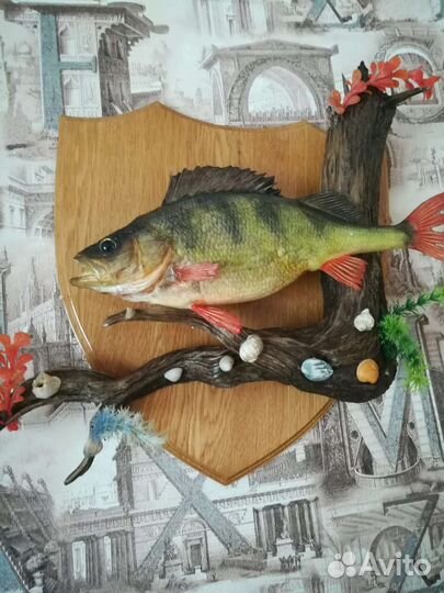 Чучело рыбы