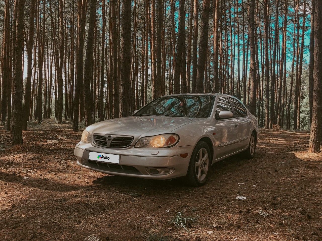 Nissan Maxima: фото владельца