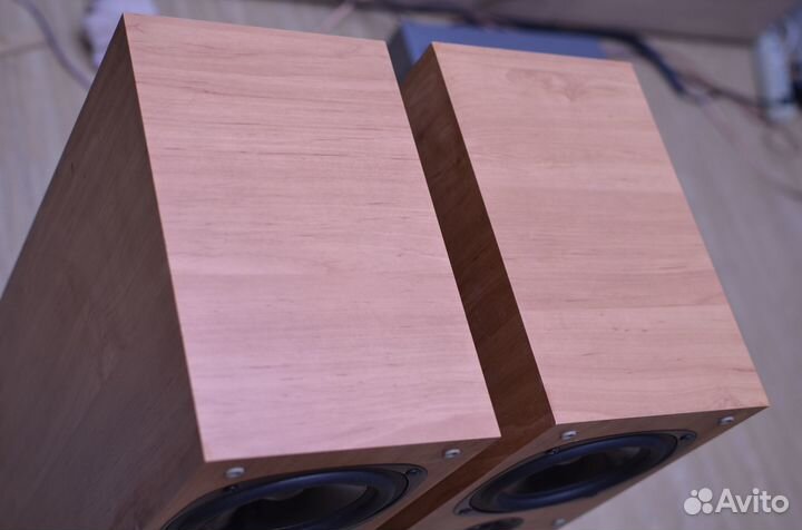 Акустические колонки Audio Pro Evidence Е.5