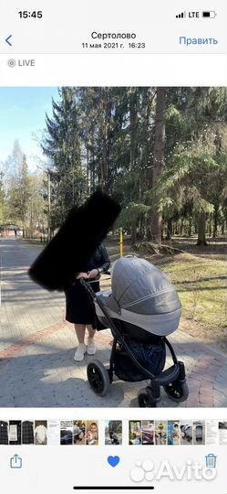Коляска adamex 3 в 1