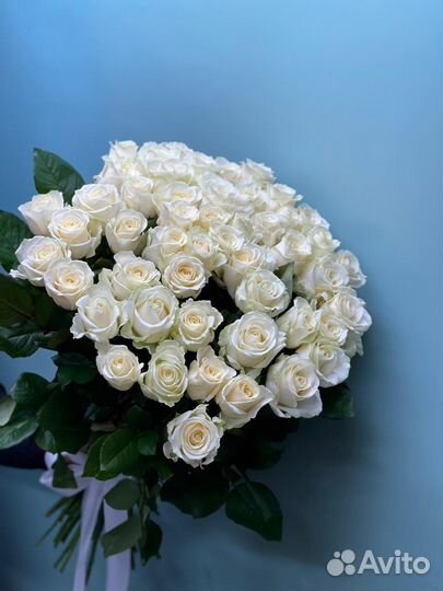 Белая роза прекрасная