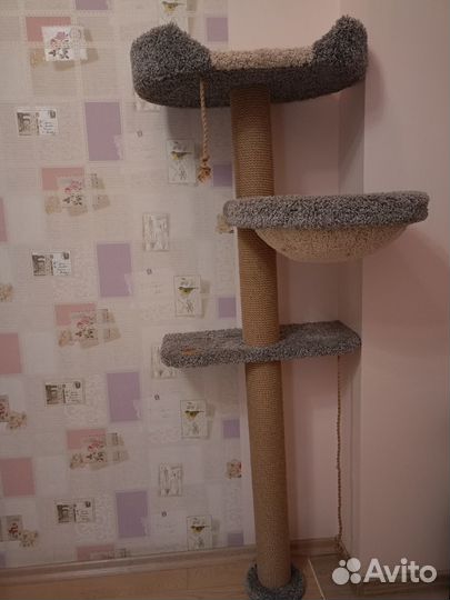 Когтеточка домик для кошки бу