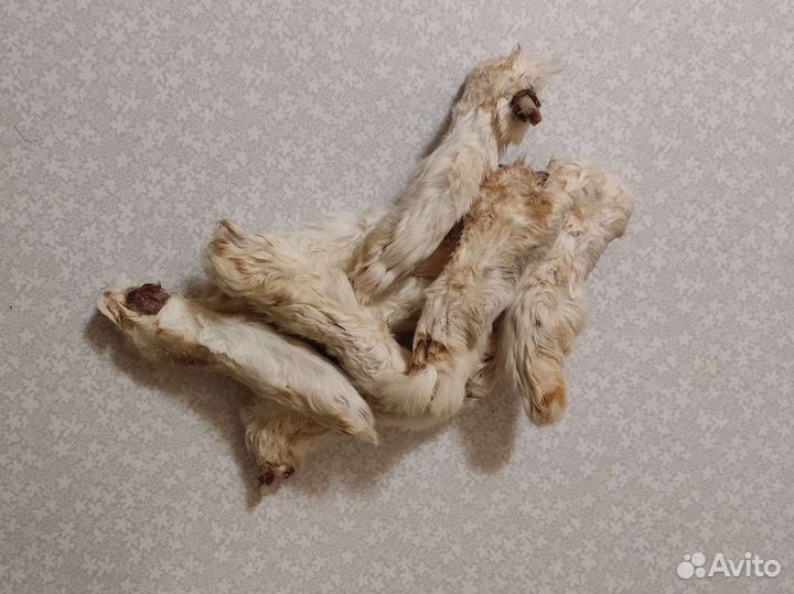 Лакомства для собак