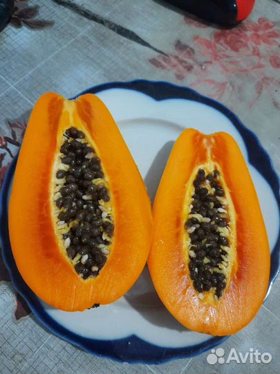 Папайя 3 сорта, семена свежие