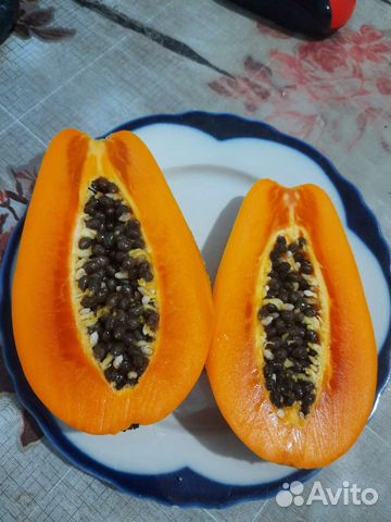 Папайя 3 сорта, семена свежие