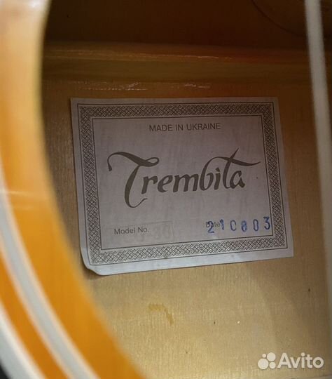 Акустическая гитара Trembita 12 струн