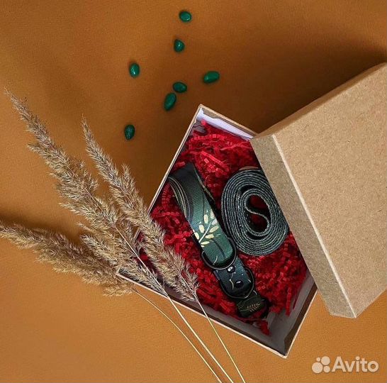 Ошейник и поводок