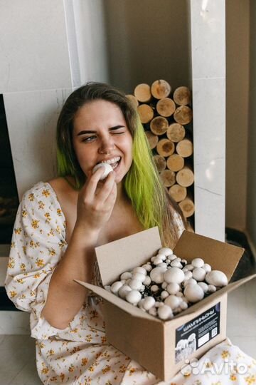 Подарочный набор для выращивания грибов