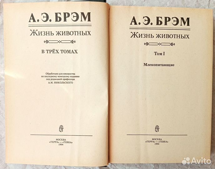 Брэм 