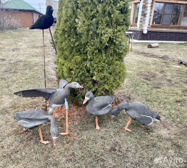 Чучела гусей sportplast