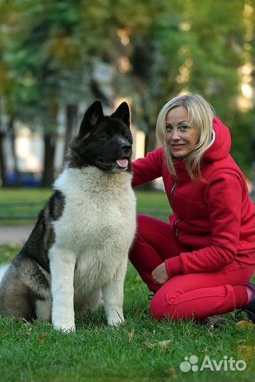 Хендлер, фитнес тренер, кинолог