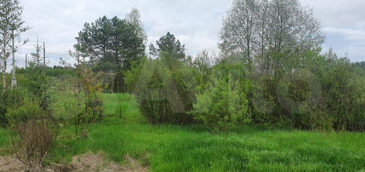 Участок 9,99 га (ИЖС)