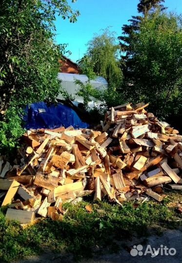 Дрова Осина навалом