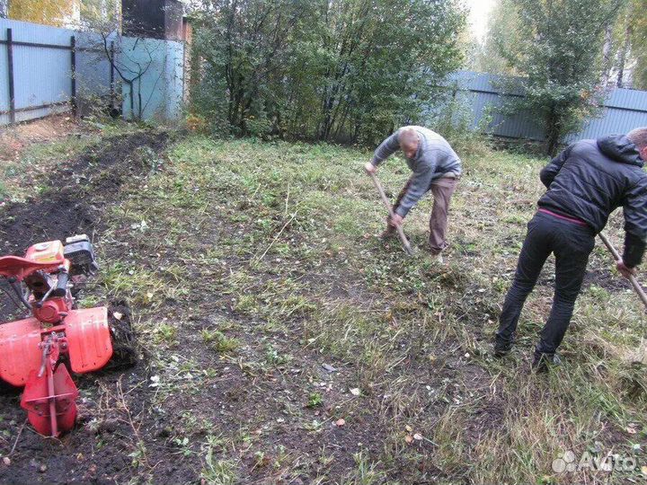 Благоустройство участка