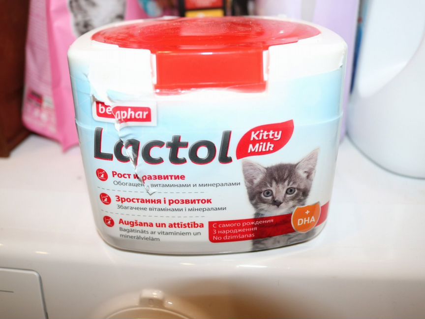 Lactol заменитель кошачьего молока