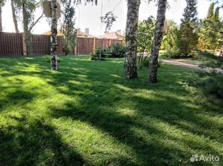 Полевой газон экономный от производителя