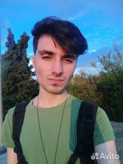 Репетитор по математике и информатике (США)