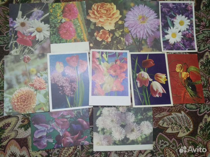 Открытки СССР