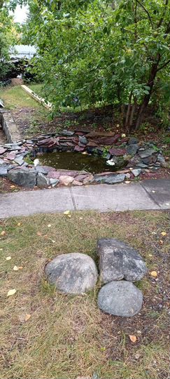 Дача 51,5 м² на участке 6,1 сот.