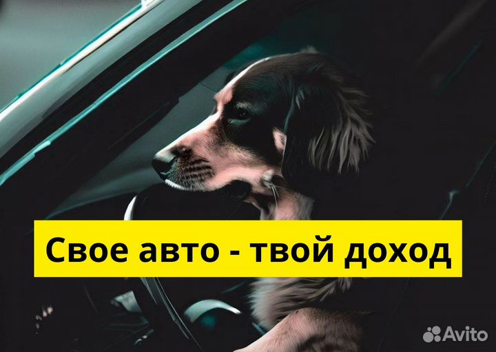 Вакансия в Яндекс.GO