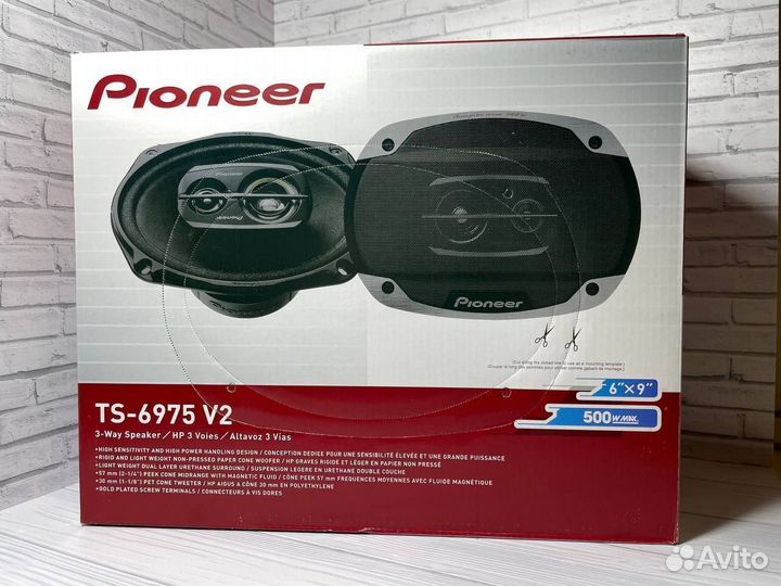 Динамики овалы pioneer Чемпионы