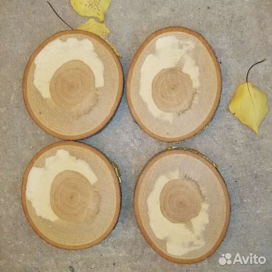 Торцевые спилы дерева