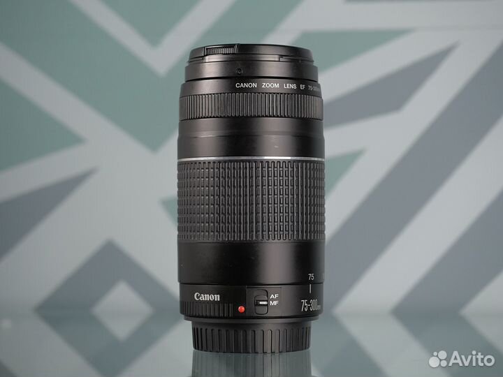 Canon EF 75-300mm f/4-5.6 III