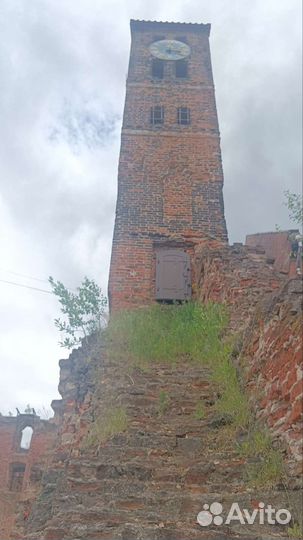 Экскурсии по Калининграду и области