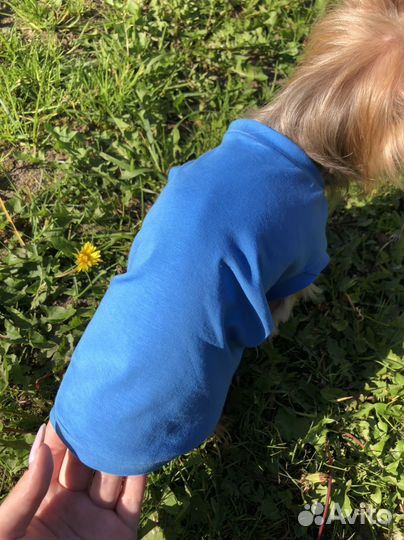 Пошив одежды для собак на заказ