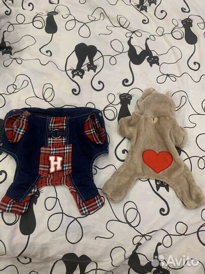 Одежда для маленькой собачки