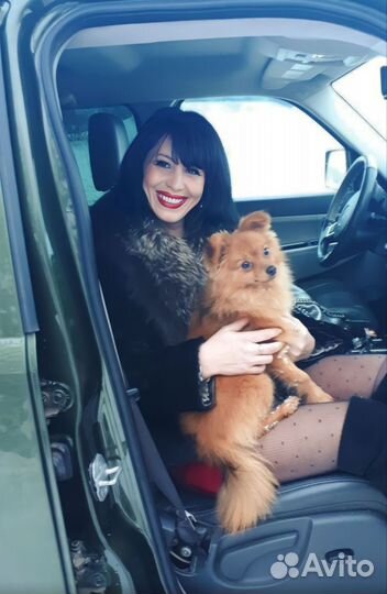 Уборка квартир и офисов