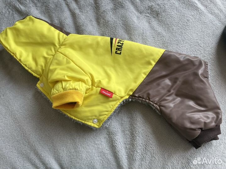 Болоневый комбинезон Petmax