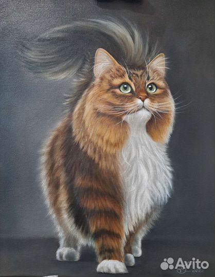 Картина маслом. Котик