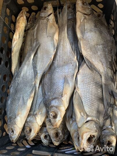 Соленая рыба Астраханская